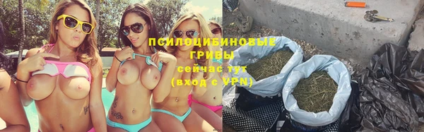 винт Белокуриха