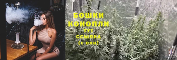 винт Белокуриха