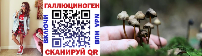 Галлюциногенные грибы MAGIC MUSHROOMS  Соль-Илецк 